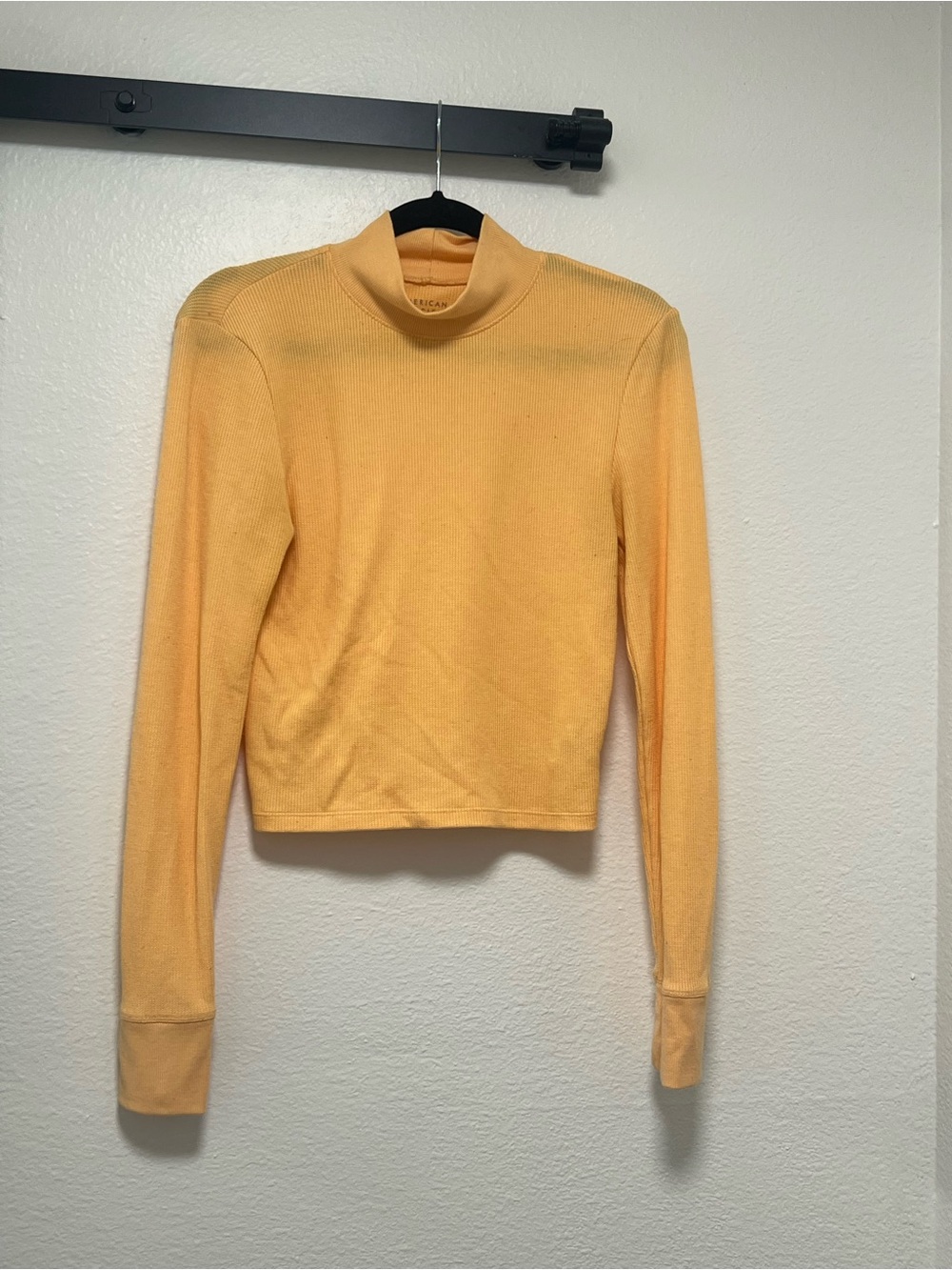 American Eagle Outfitters Orange Long Sleeve Cropped Mock Neck Top NWOT